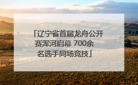 辽宁省首届龙舟公开赛浑河启幕 700余名选手同场竞技
