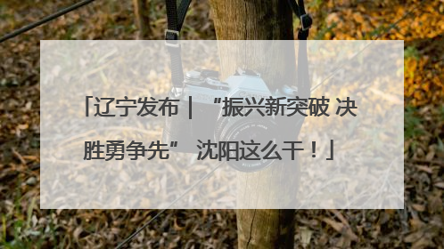 辽宁发布｜“振兴新突破 决胜勇争先” 沈阳这么干！