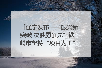 辽宁发布｜“振兴新突破 决胜勇争先”铁岭市坚持“项目为王”推进经济高质量发展