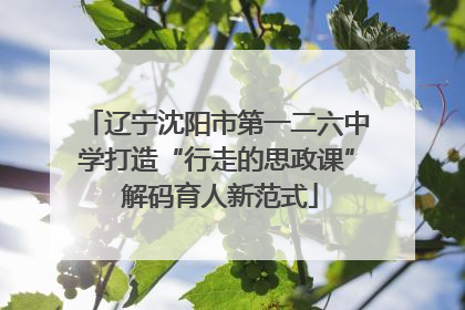 辽宁沈阳市第一二六中学打造“行走的思政课” 解码育人新范式