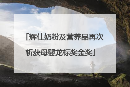 辉仕奶粉及营养品再次斩获母婴龙标奖金奖