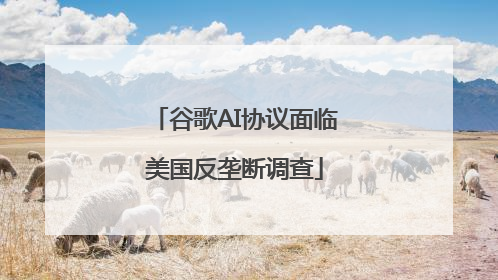 谷歌AI协议面临美国反垄断调查