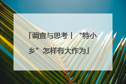 调查与思考丨“特小乡”怎样有大作为