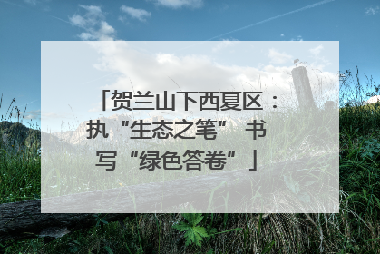 贺兰山下西夏区：执“生态之笔” 书写“绿色答卷”