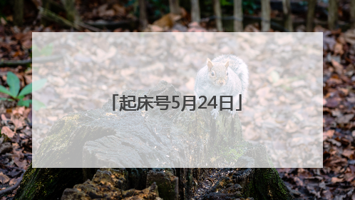 起床号5月24日