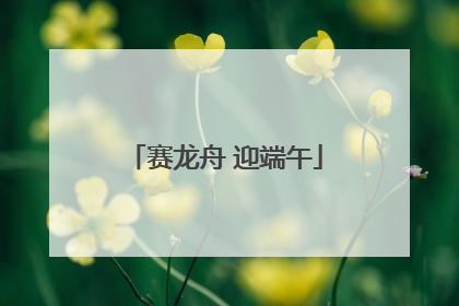 赛龙舟 迎端午