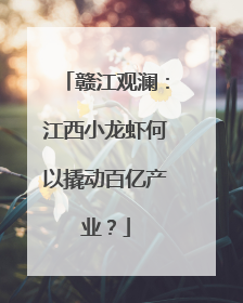 赣江观澜：江西小龙虾何以撬动百亿产业？
