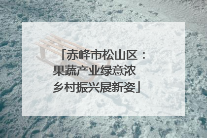 赤峰市松山区：果蔬产业绿意浓 乡村振兴展新姿
