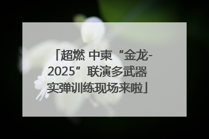 超燃 中柬“金龙-2025”联演多武器实弹训练现场来啦