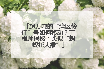 超万吨的“湾区伶仃”号如何移动？工程师揭秘：类似“蚂蚁托大象”