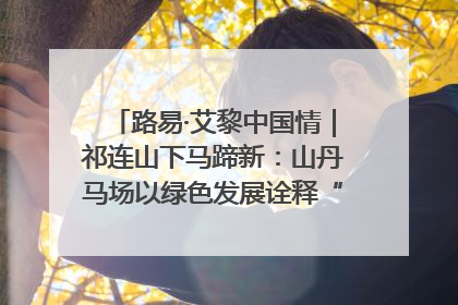 路易·艾黎中国情｜祁连山下马蹄新：山丹马场以绿色发展诠释“两山”理论实践