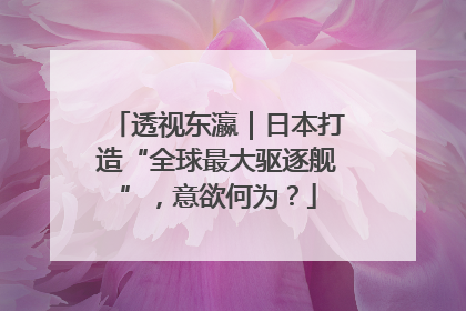 透视东瀛｜日本打造“全球最大驱逐舰”，意欲何为？
