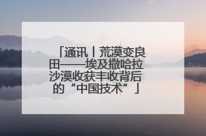 通讯丨荒漠变良田——埃及撒哈拉沙漠收获丰收背后的“中国技术”