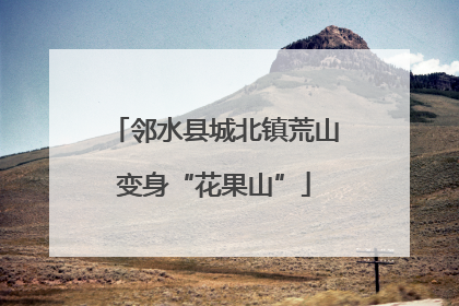 邻水县城北镇荒山变身“花果山”