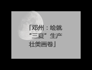 邓州：绘就“三夏”生产壮美画卷