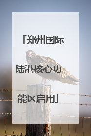 郑州国际陆港核心功能区启用