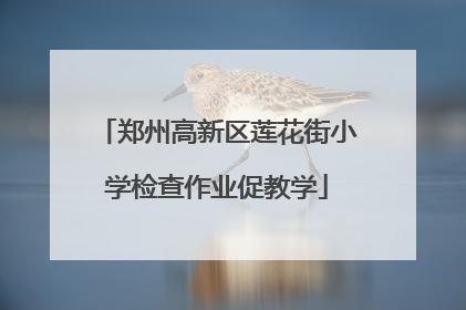 郑州高新区莲花街小学检查作业促教学