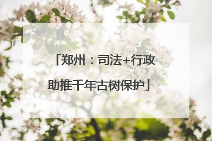 郑州：司法+行政助推千年古树保护