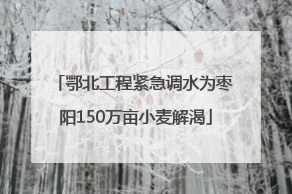 鄂北工程紧急调水为枣阳150万亩小麦解渴