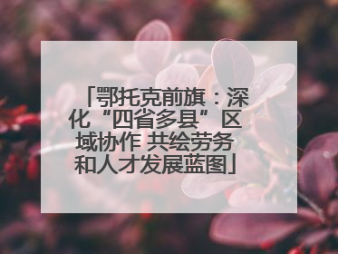 鄂托克前旗：深化“四省多县”区域协作 共绘劳务和人才发展蓝图