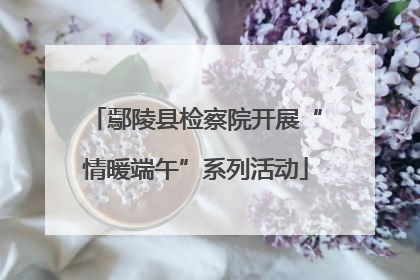 鄢陵县检察院开展“情暖端午”系列活动