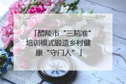 醴陵市“三精准”培训模式锻造乡村健康“守门人”