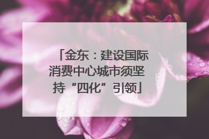金东：建设国际消费中心城市须坚持“四化”引领