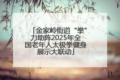 金家岭街道“拳”力助阵2025年全国老年人太极拳健身展示大联动