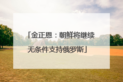 金正恩：朝鲜将继续无条件支持俄罗斯