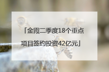 金霞二季度18个重点项目签约投资42亿元