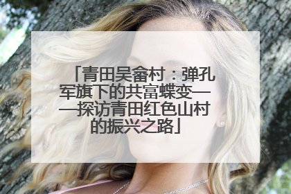 青田吴畲村：弹孔军旗下的共富蝶变——探访青田红色山村的振兴之路