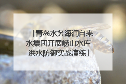 青岛水务海润自来水集团开展崂山水库洪水防御实战演练