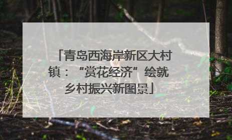 青岛西海岸新区大村镇：“赏花经济”绘就乡村振兴新图景
