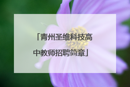 青州圣维科技高中教师招聘简章