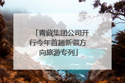 青藏集团公司开行今年首趟新疆方向旅游专列