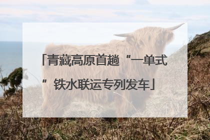 青藏高原首趟“一单式”铁水联运专列发车