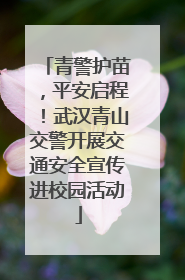 青警护苗，平安启程！武汉青山交警开展交通安全宣传进校园活动