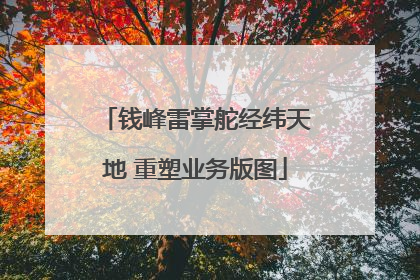 钱峰雷掌舵经纬天地 重塑业务版图