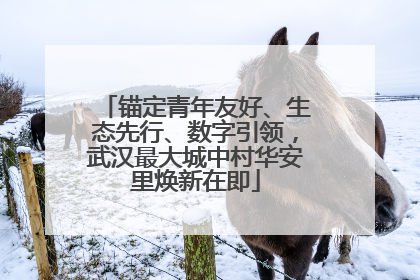 锚定青年友好、生态先行、数字引领，武汉最大城中村华安里焕新在即