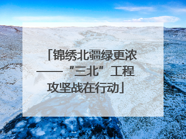 锦绣北疆绿更浓——“三北”工程攻坚战在行动