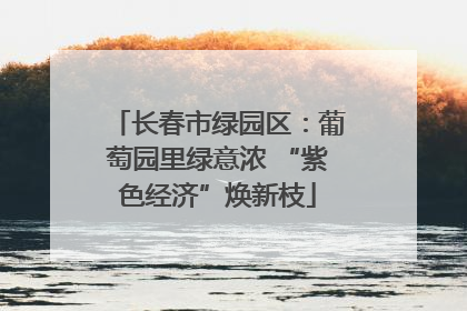 长春市绿园区：葡萄园里绿意浓 “紫色经济”焕新枝