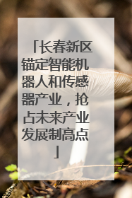 长春新区锚定智能机器人和传感器产业，抢占未来产业发展制高点