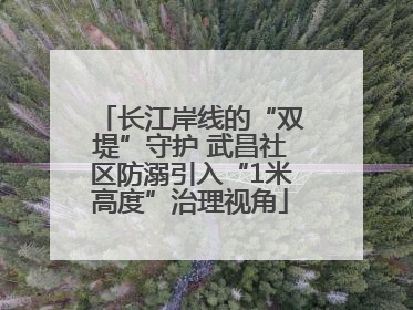 长江岸线的“双堤”守护 武昌社区防溺引入“1米高度”治理视角