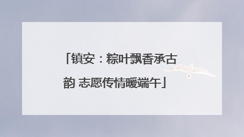 镇安：粽叶飘香承古韵 志愿传情暖端午