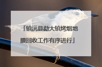 镇沅县勐大镇烤烟地膜回收工作有序进行