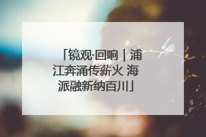 镜观·回响｜浦江奔涌传薪火 海派融新纳百川