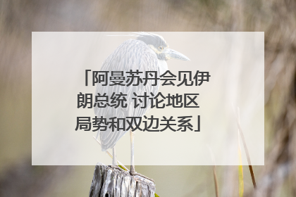 阿曼苏丹会见伊朗总统 讨论地区局势和双边关系