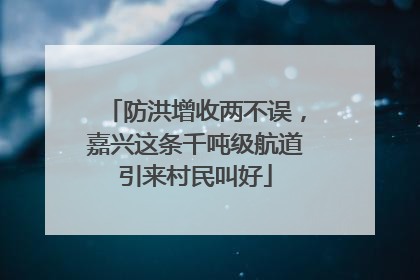 防洪增收两不误，嘉兴这条千吨级航道引来村民叫好