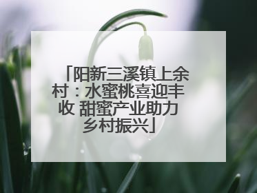 阳新三溪镇上余村：水蜜桃喜迎丰收 甜蜜产业助力乡村振兴