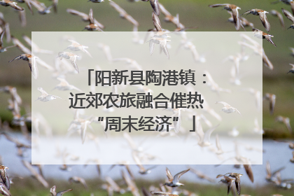 阳新县陶港镇：近郊农旅融合催热“周末经济”